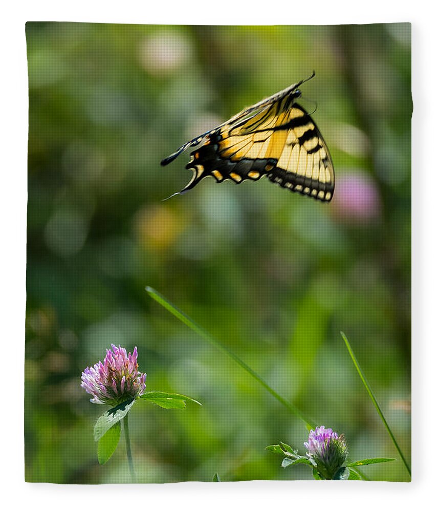 Tiger Swallowtail Butterfly In Flight Fleece Blanket featuring the photograph Tiger Swallowtail Butterfly In Flight by Holden The Moment