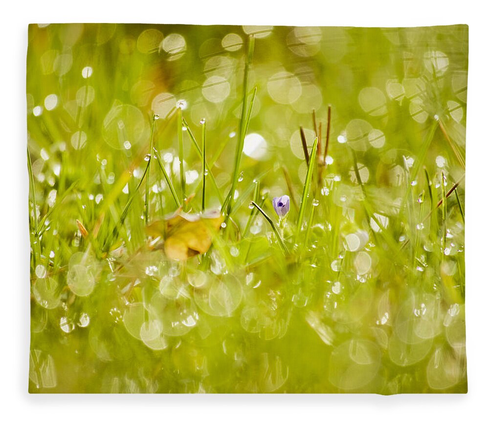 Grass Fleece Blanket featuring the photograph Time by Lara Morrison
