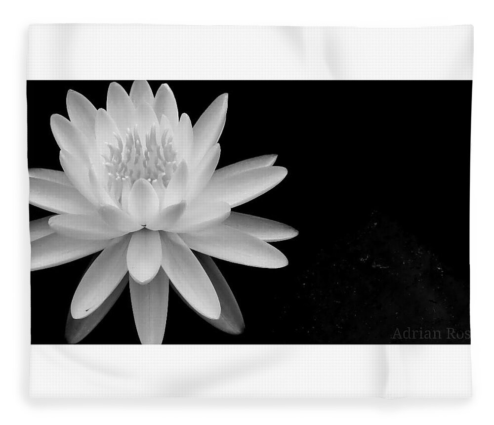 Black And White Fleece Blanket featuring the photograph Black and White -timeless lily by Adrian De Leon Art and Photography