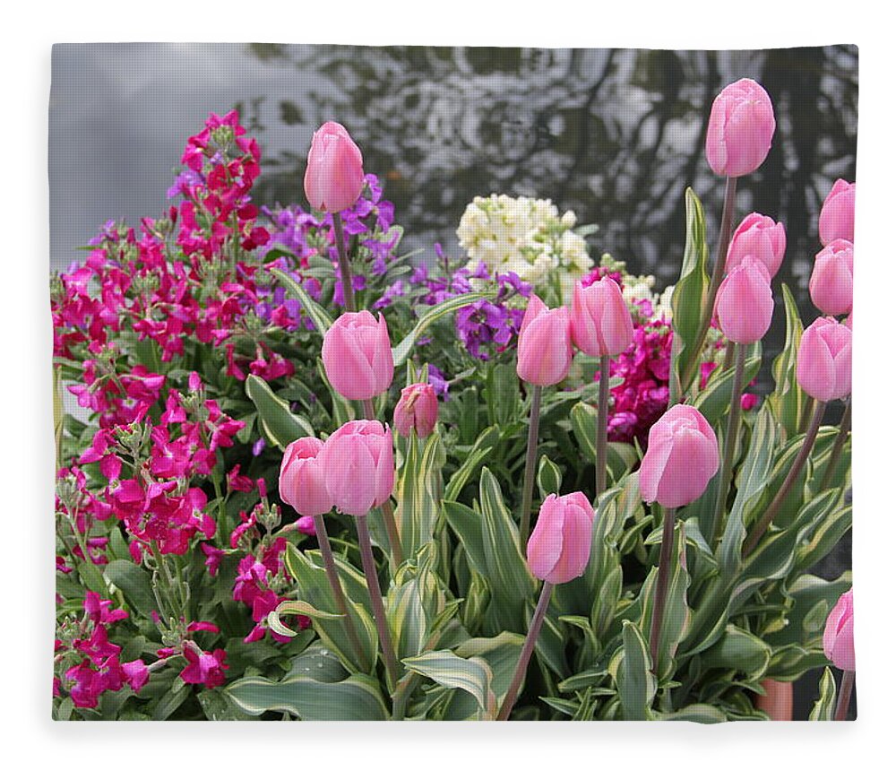 Pink Tulips Fleece Blanket featuring the photograph Top View Planter by Allen Nice-Webb