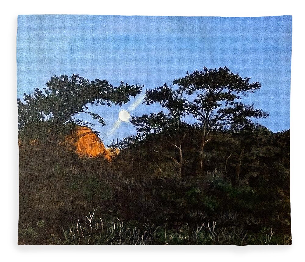 Torrey Pines Fleece Blanket featuring the painting Torrey pines in the morning by Kevin Daly