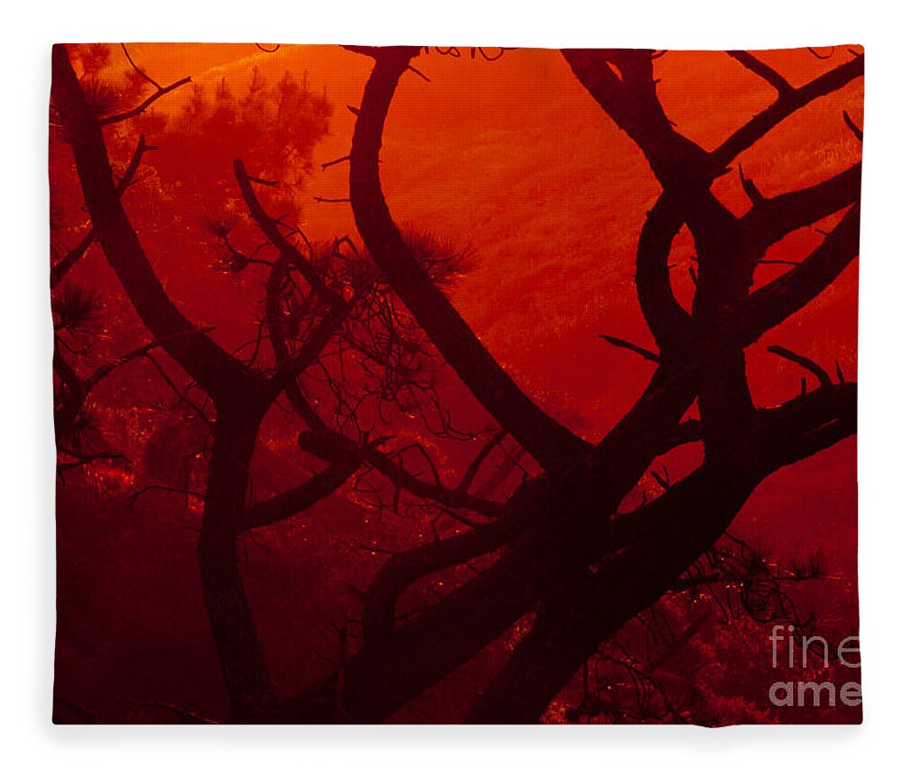 Landscapes Fleece Blanket featuring the photograph Torrey Pines Glow by John F Tsumas