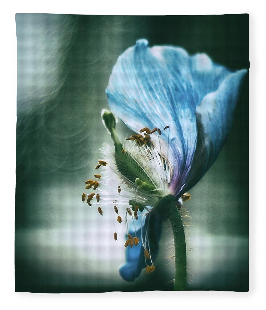 Flower Fleece Blanket featuring the photograph Touched by Light by Scott Wyatt