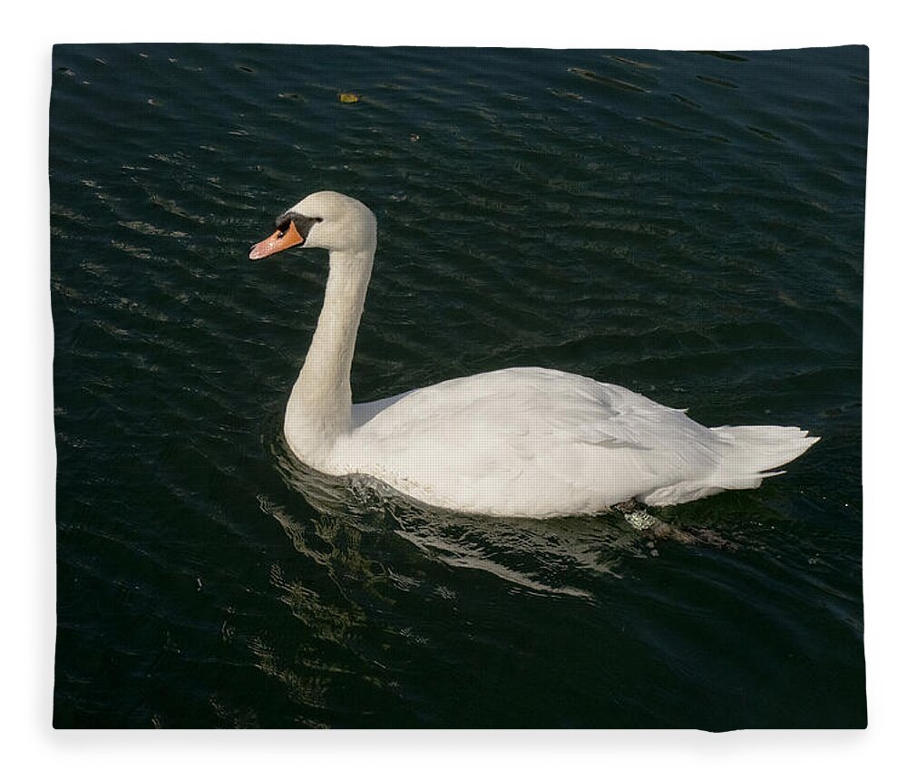 Swan Fleece Blanket featuring the photograph Tour de Swan. Trois. by Elena Perelman