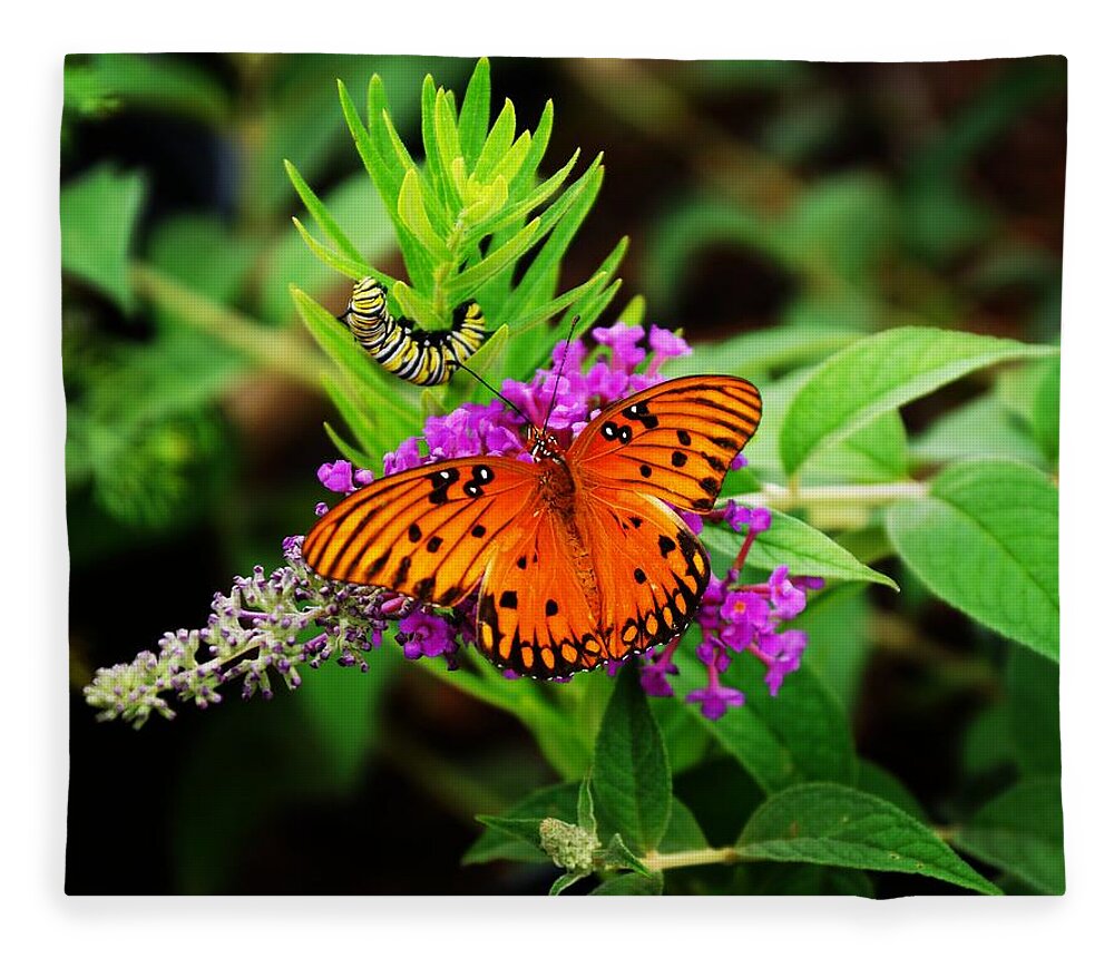  Fleece Blanket featuring the photograph Transformation by Rodney Lee Williams