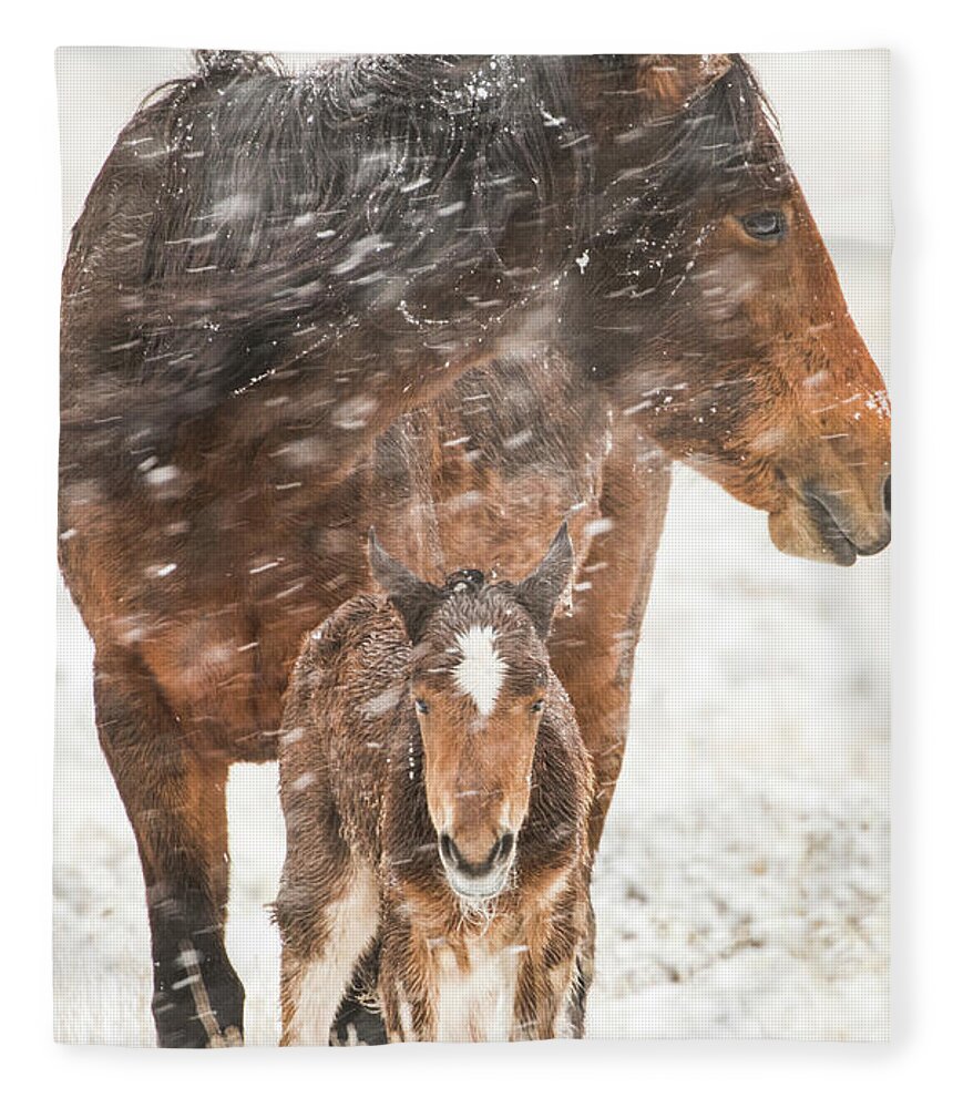 Wild Horses Fleece Blanket featuring the photograph Treasure and Storm by John T Humphrey