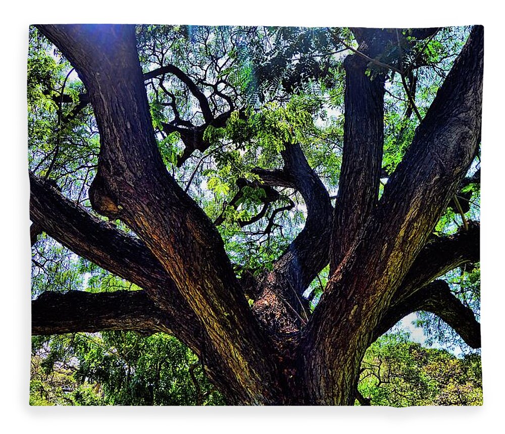 Tree Fleece Blanket featuring the photograph Tree 105 by Kristalin Davis by Kristalin Davis