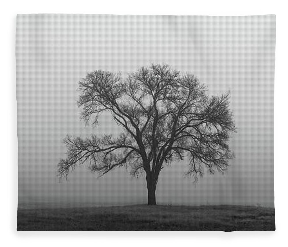 Tree Fleece Blanket featuring the photograph Tree Alone In The Fog by Todd Aaron