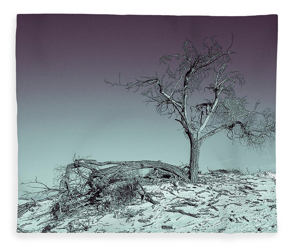 Monument Fleece Blanket featuring the photograph Tree at White Sands, New Mexico by Roslyn Wilkins
