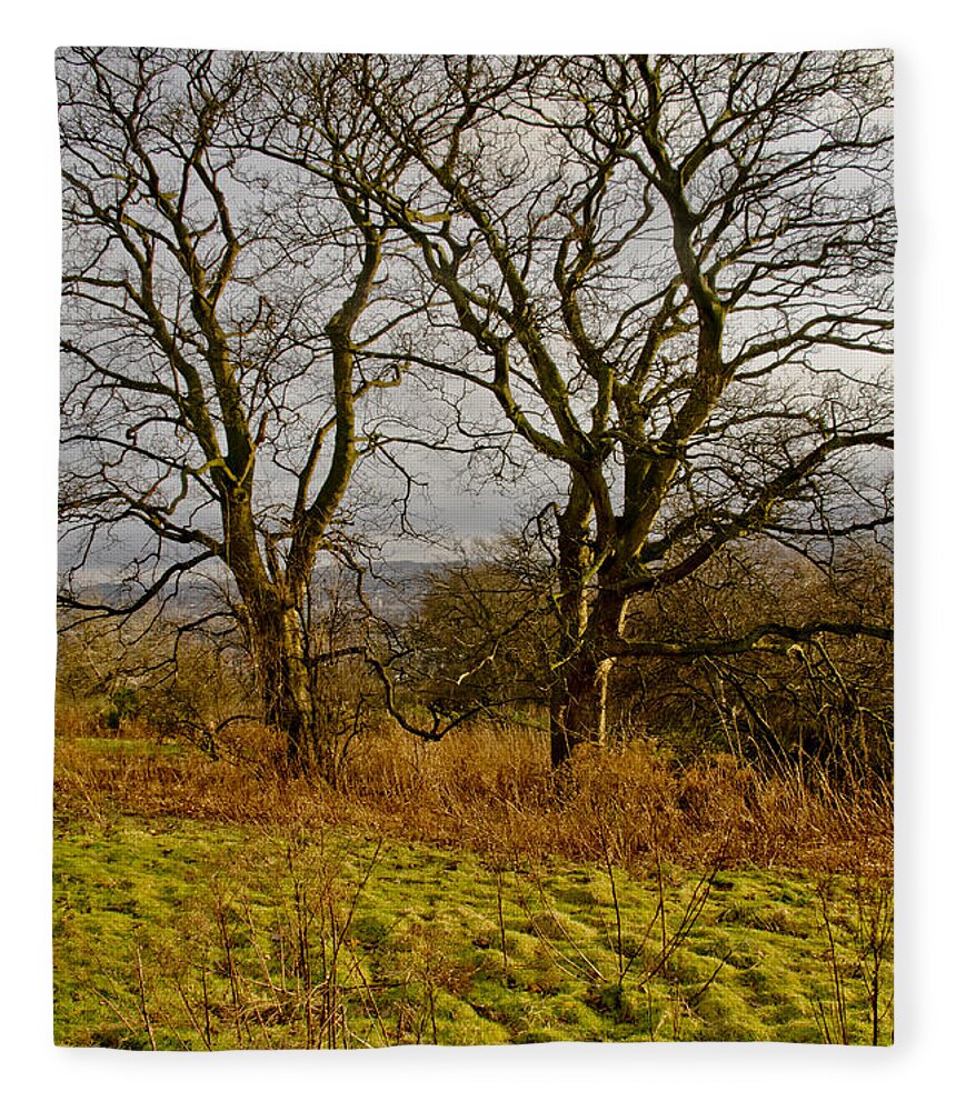 Tree Fleece Blanket featuring the photograph Tree friendship. by Elena Perelman