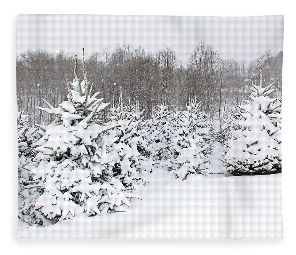 Frasers Fleece Blanket featuring the photograph Fraser Snow by Dale R Carlson