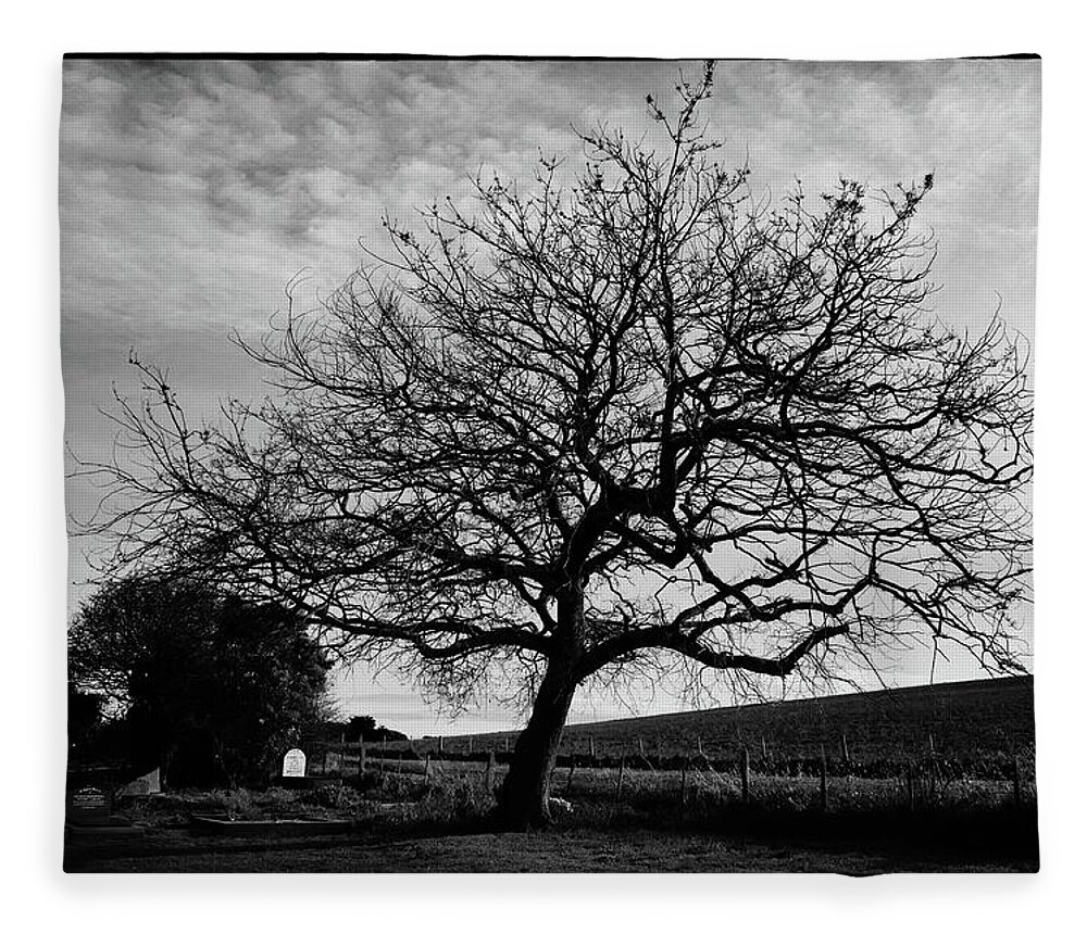 Landscape Fleece Blanket featuring the photograph Tree in a country cemetery in winter by Frank Lee