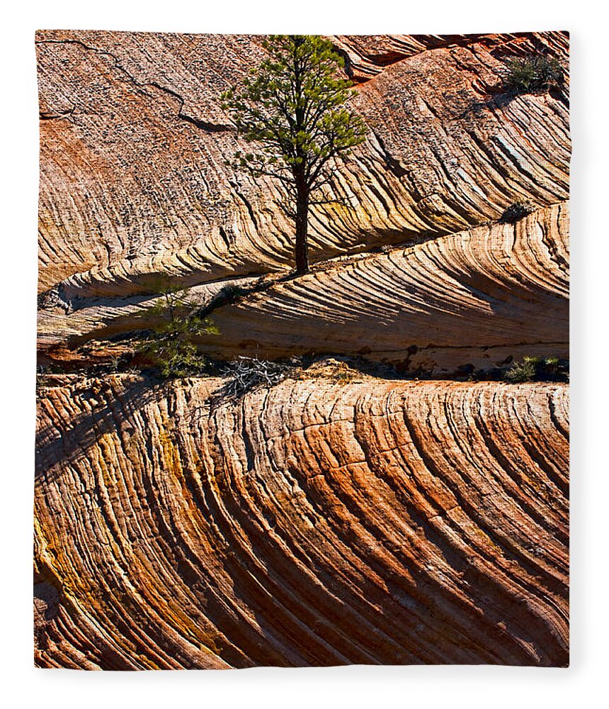 Zion Fleece Blanket featuring the photograph Tree In Flowing Rock by Christopher Holmes