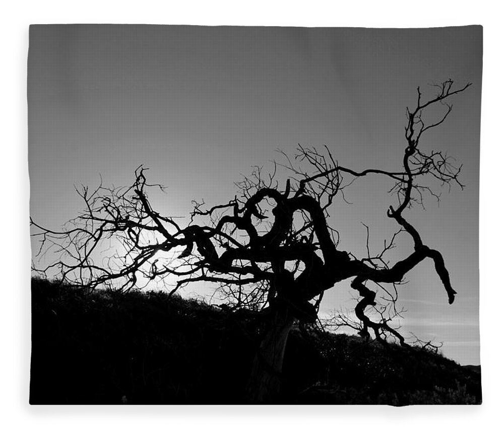 Tree Fleece Blanket featuring the photograph Tree of Light Silhouette Hillside - Black and White by Matt Quest
