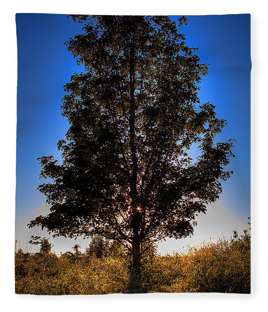Tree Fleece Blanket featuring the photograph Tree Silhouette by David Patterson