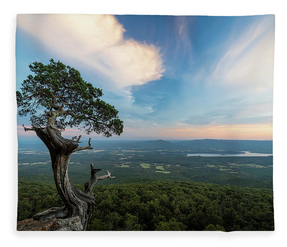 Arkansas Fleece Blanket featuring the photograph Tree Vs World 2 by Mati Krimerman