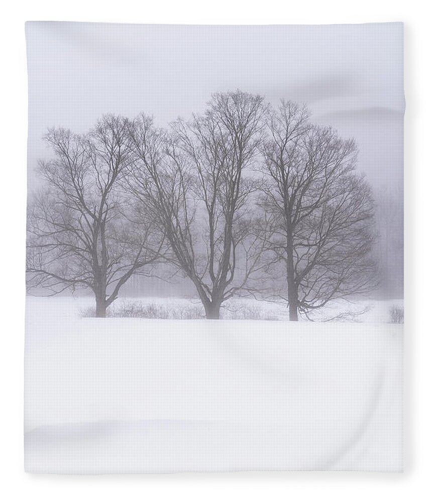 Williamsville Vermont Fleece Blanket featuring the photograph Trees In Fog by Tom Singleton