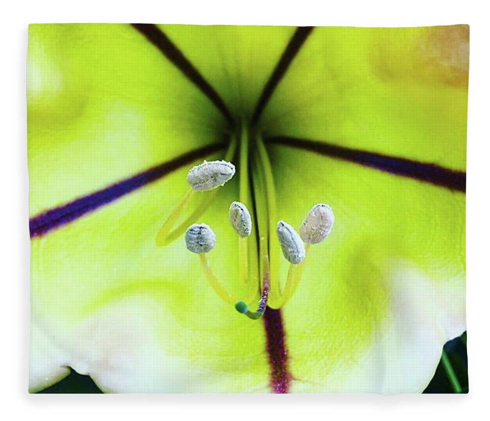 Mauilife Fleece Blanket featuring the photograph Tropical Flower, About 6 Inches Across by Ginger Oppenheimer