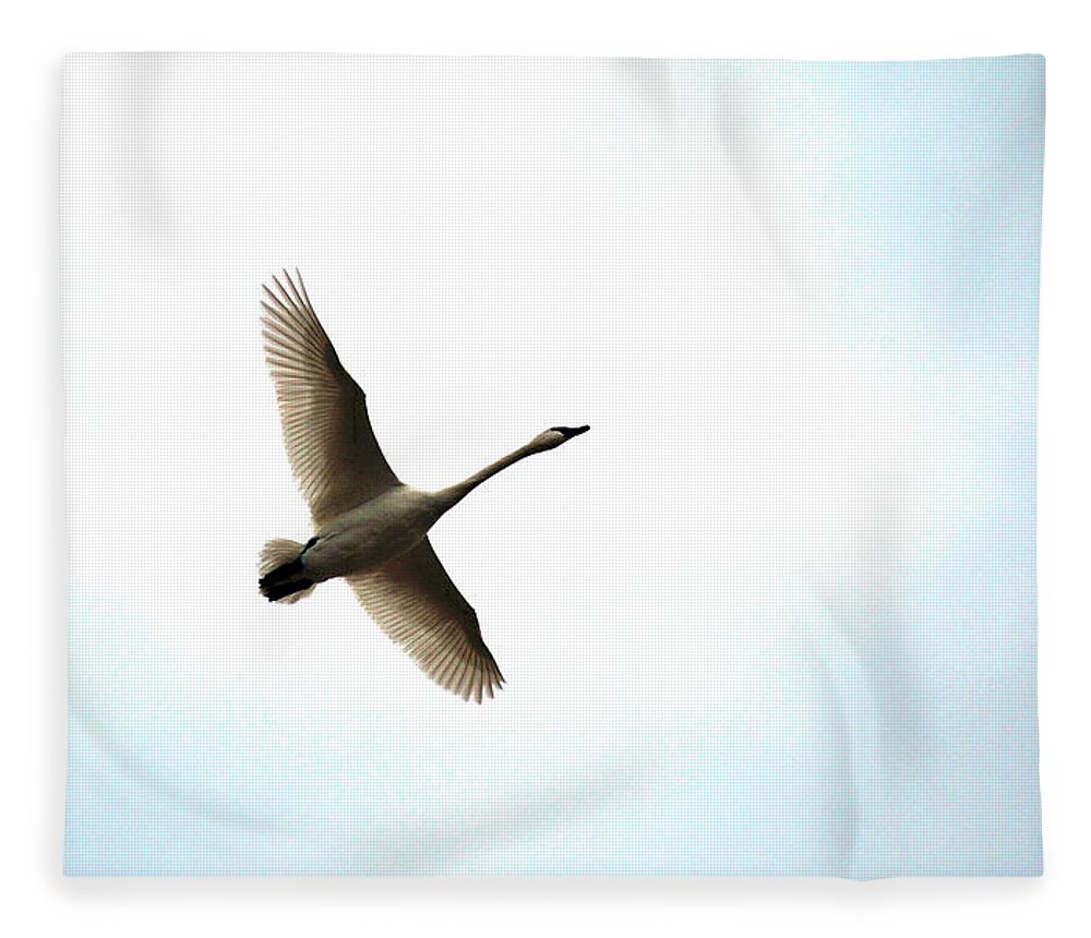 Goose Fleece Blanket featuring the photograph Trumpeter Swan in Flight by Brian O'Kelly