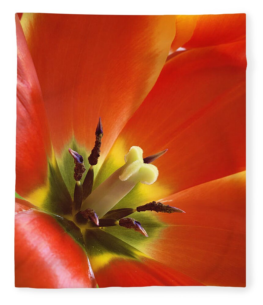 Orange Flower Fleece Blanket featuring the photograph Tuliplicious by Jill Love