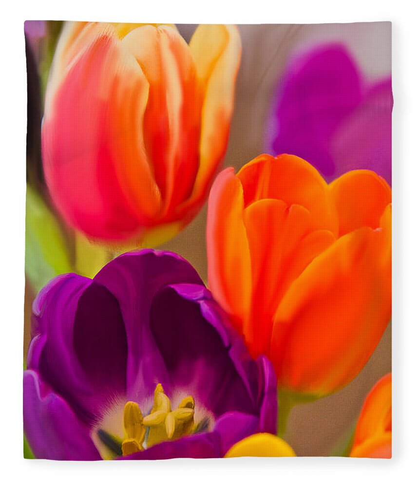 Red Fleece Blanket featuring the photograph Tulips in Color by Joni Eskridge