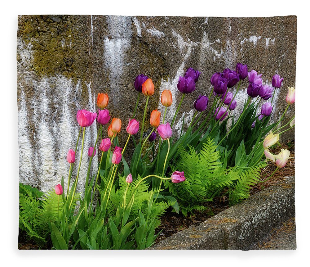 Tulips Fleece Blanket featuring the photograph Tulips in Ruin by Michael Hubley