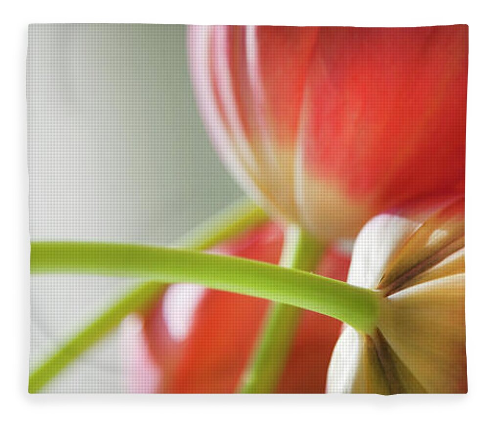 Floral Fleece Blanket featuring the photograph Tulips In The Morning by Theresa Tahara