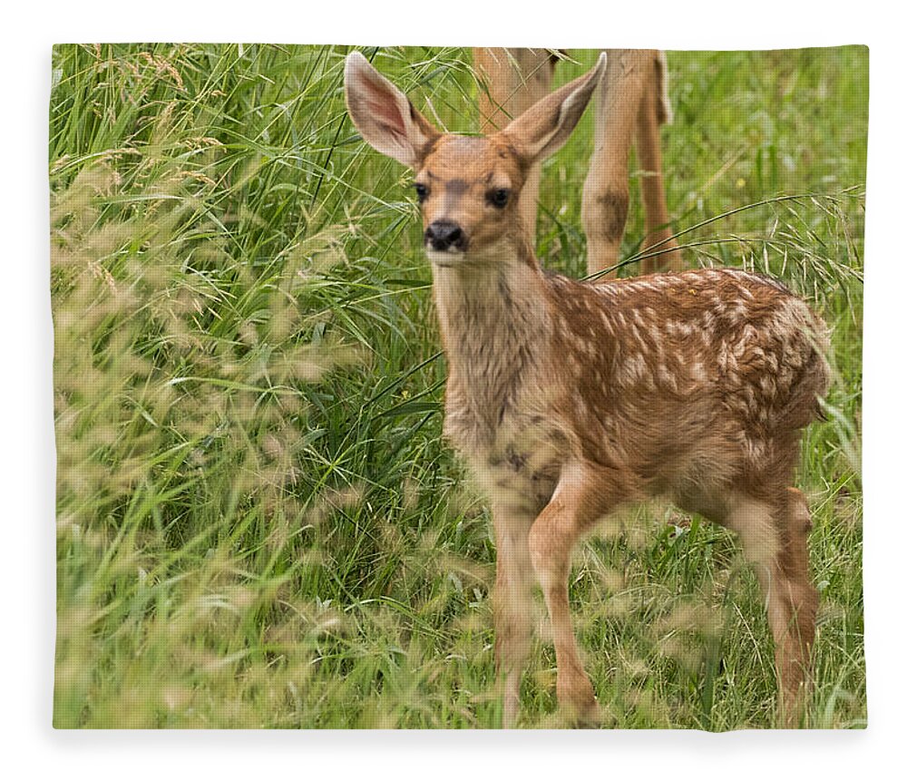 Mule Deer Fawn Fleece Blanket featuring the photograph Twilight Fawn #3 by Mindy Musick King
