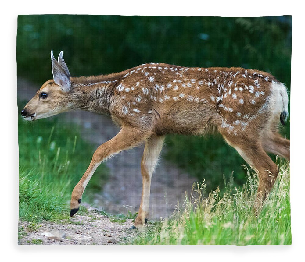 Mule Deer Fawn Fleece Blanket featuring the photograph Twilight Fawn #4 by Mindy Musick King