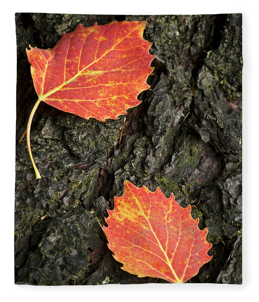 Fall Leaves Fleece Blanket featuring the photograph Falling Leaves by Christina Rollo