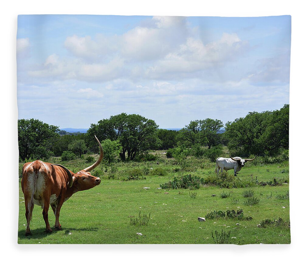 Longhorn Fleece Blanket featuring the painting Two Longhorns by James W Johnson