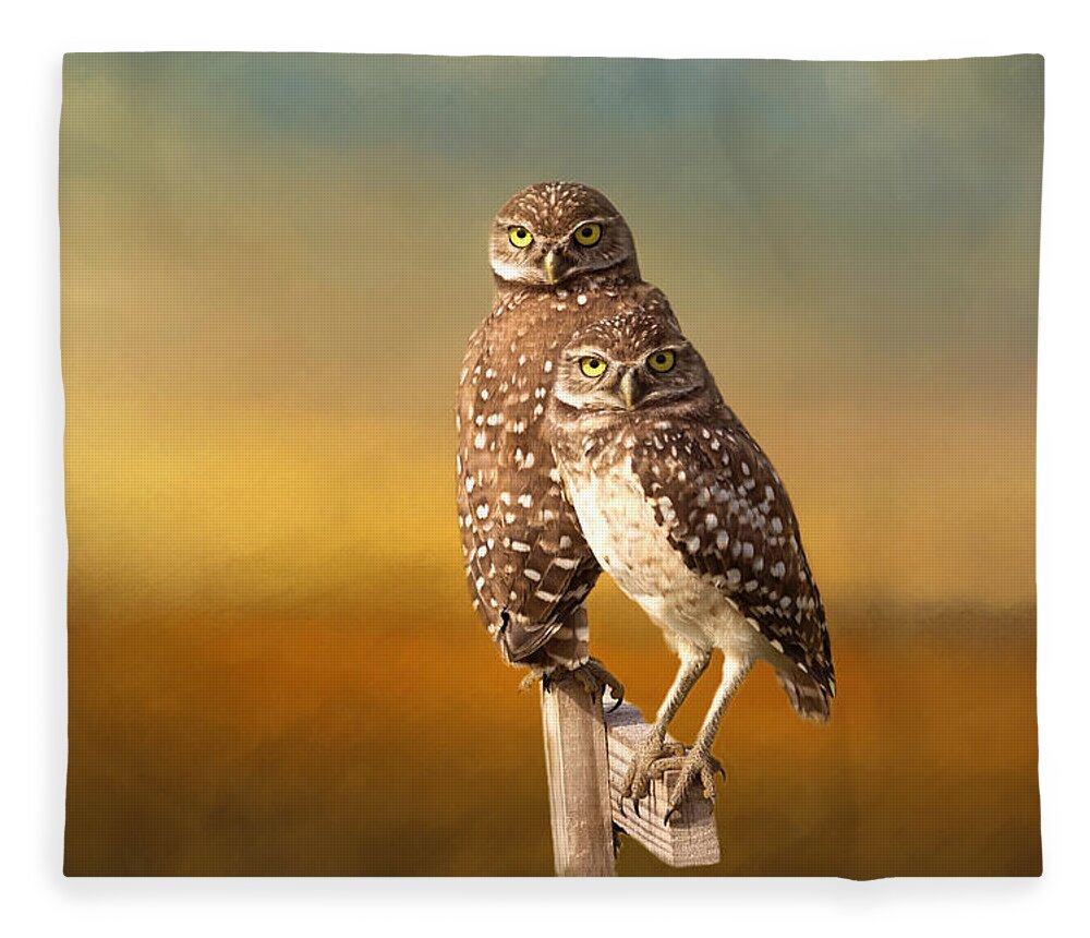 Owl Fleece Blanket featuring the photograph Two Of Us by Kim Hojnacki