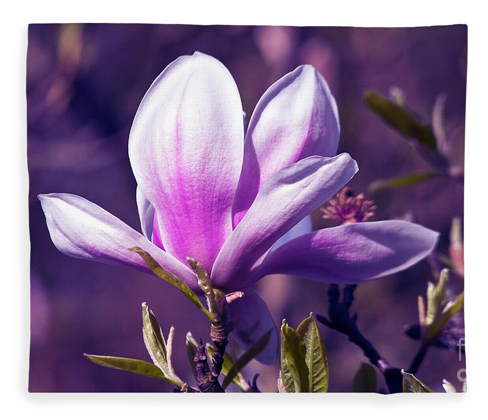 Ultra Violet Magnolia Fleece Blanket featuring the photograph Ultra Violet Magnolia by Silva Wischeropp