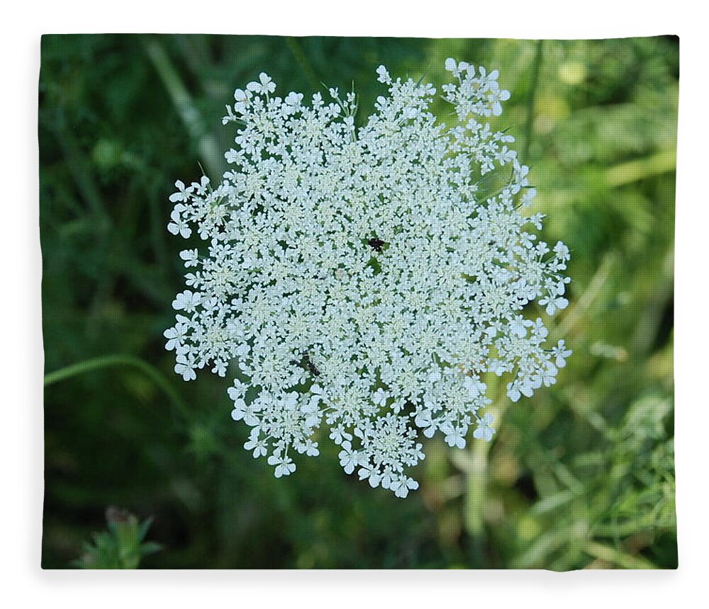 Small White Flower Clusters Fleece Blanket featuring the photograph Umbel Flower 2 by Ee Photography
