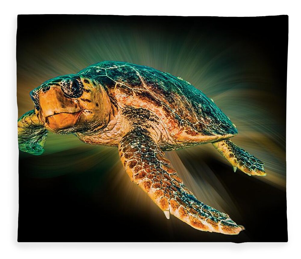Turtle Fleece Blanket featuring the photograph Undersea Turtle by Debra and Dave Vanderlaan