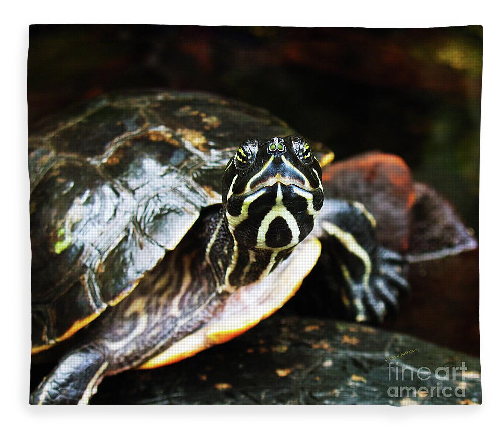 Turtle Art Print Fleece Blanket featuring the photograph Underwater Turtle by Patricia Griffin Brett