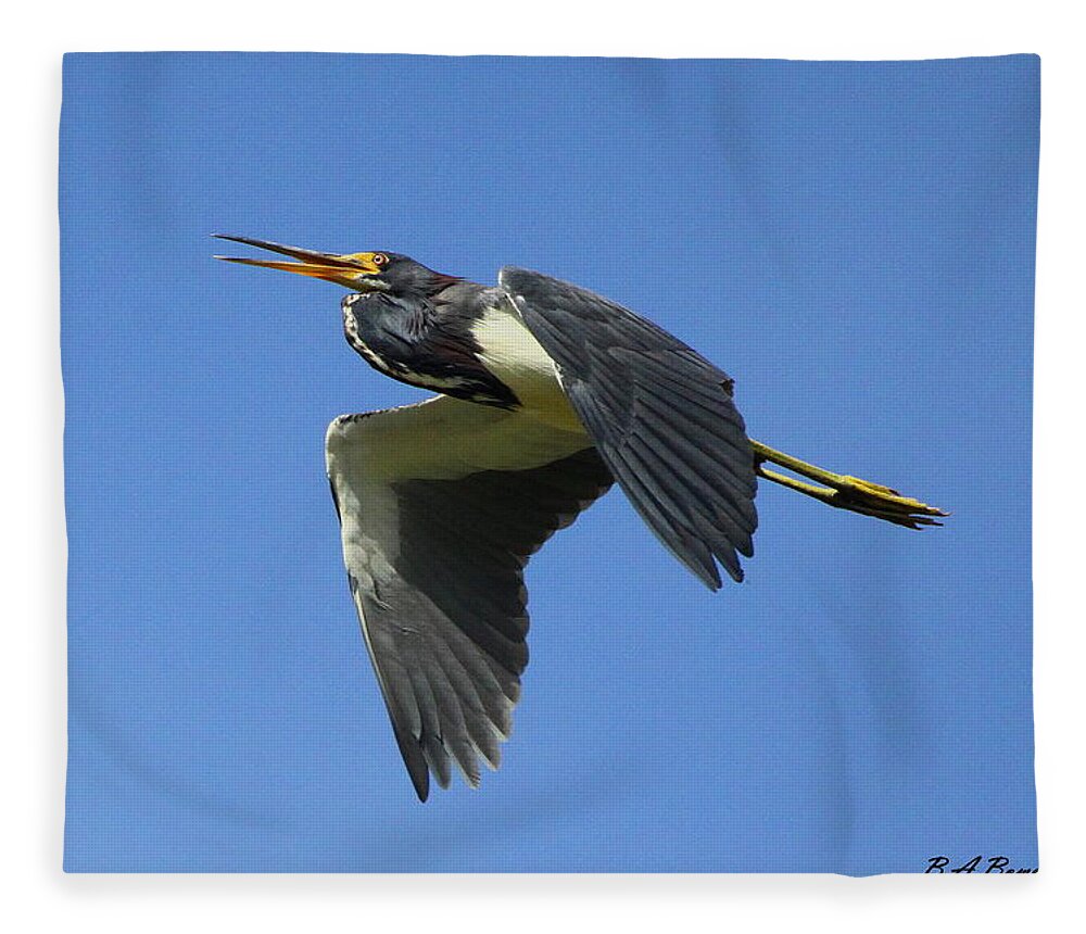 Tri-colored Heron Fleece Blanket featuring the photograph Up Up and Away by Barbara Bowen