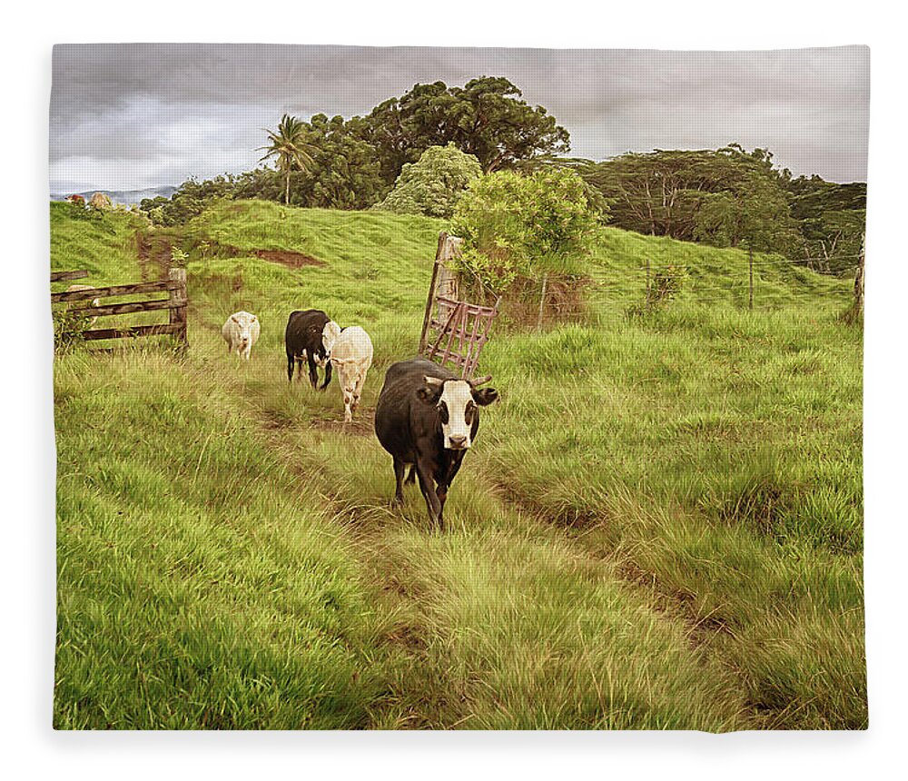 Cows Fleece Blanket featuring the photograph Upcountry Ranch by Susan Rissi Tregoning