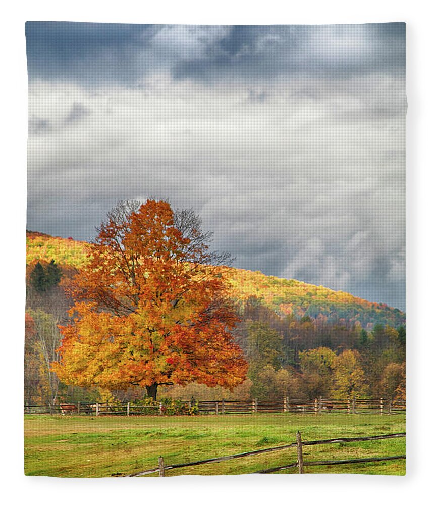 #jefffolger Fleece Blanket featuring the photograph Vermont fall colors after the rain by Jeff Folger