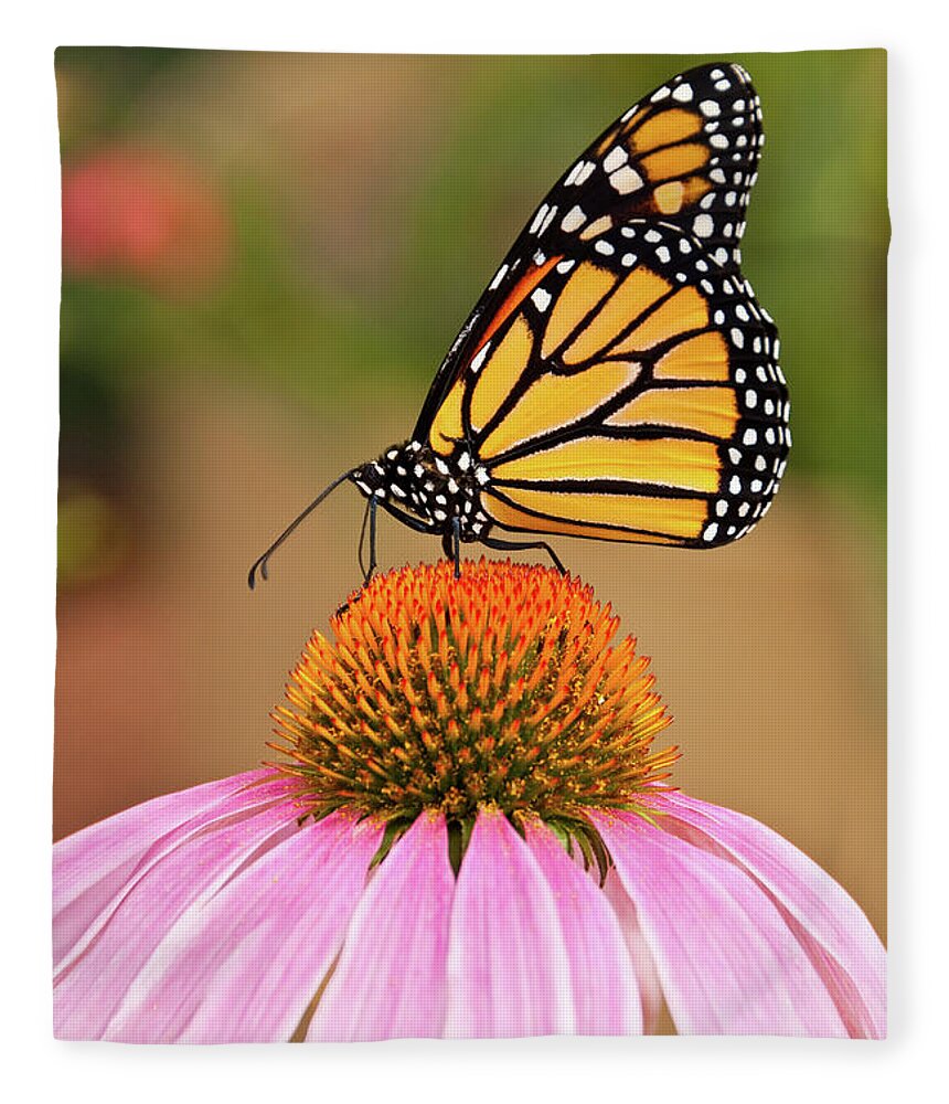 Animal Fleece Blanket featuring the photograph Monarch Butterfly on a Purple Coneflower by Jeff Goulden