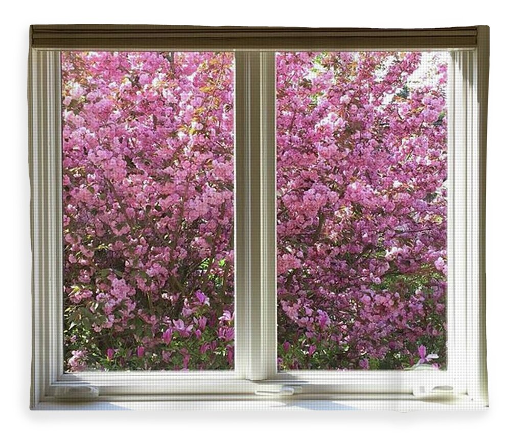 Pink Fleece Blanket featuring the photograph View Of The Flowering Cherry Out The by Ginger Oppenheimer
