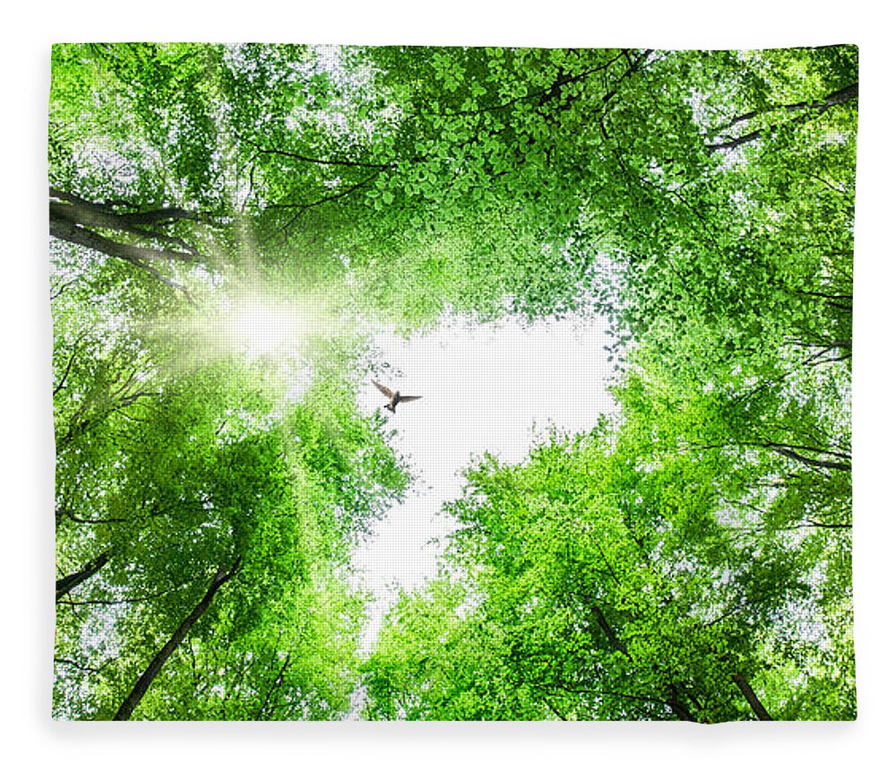 Tree Fleece Blanket featuring the photograph View through tree canopy with bird soaring by Simon Bratt