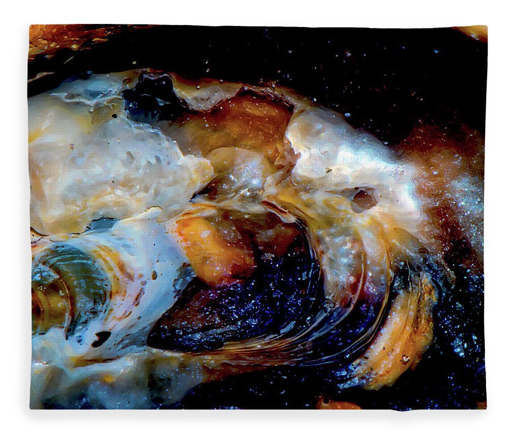 Sea Shell Fleece Blanket featuring the photograph Vilano Sea Shell Constellation by Gina O'Brien