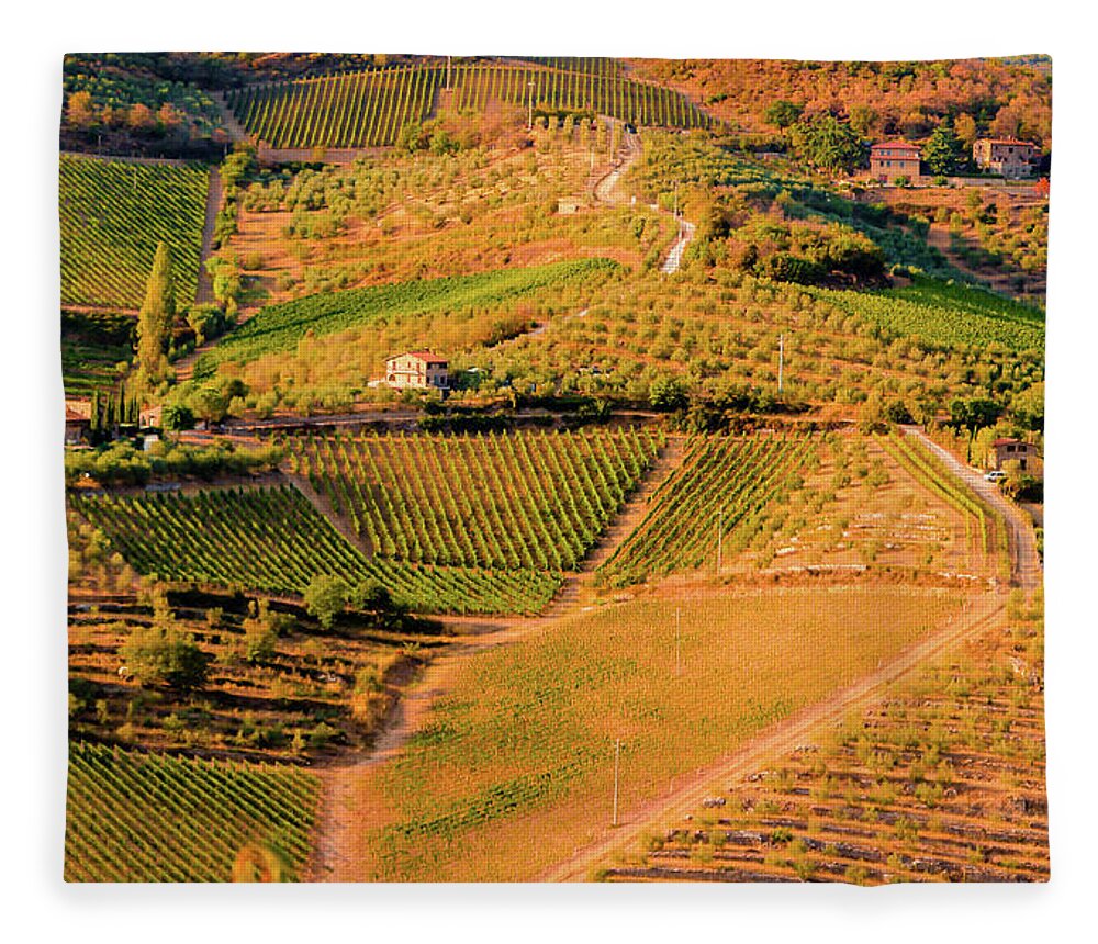 Vineyard Fleece Blanket featuring the photograph Vineyard, Tuscany by Aashish Vaidya