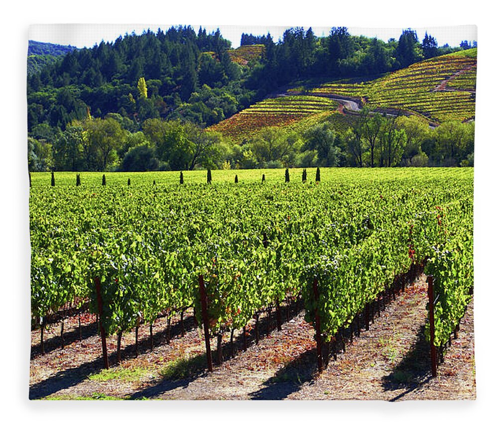 Vineyards Fleece Blanket featuring the photograph Vineyards in Sonoma County by Charlene Mitchell