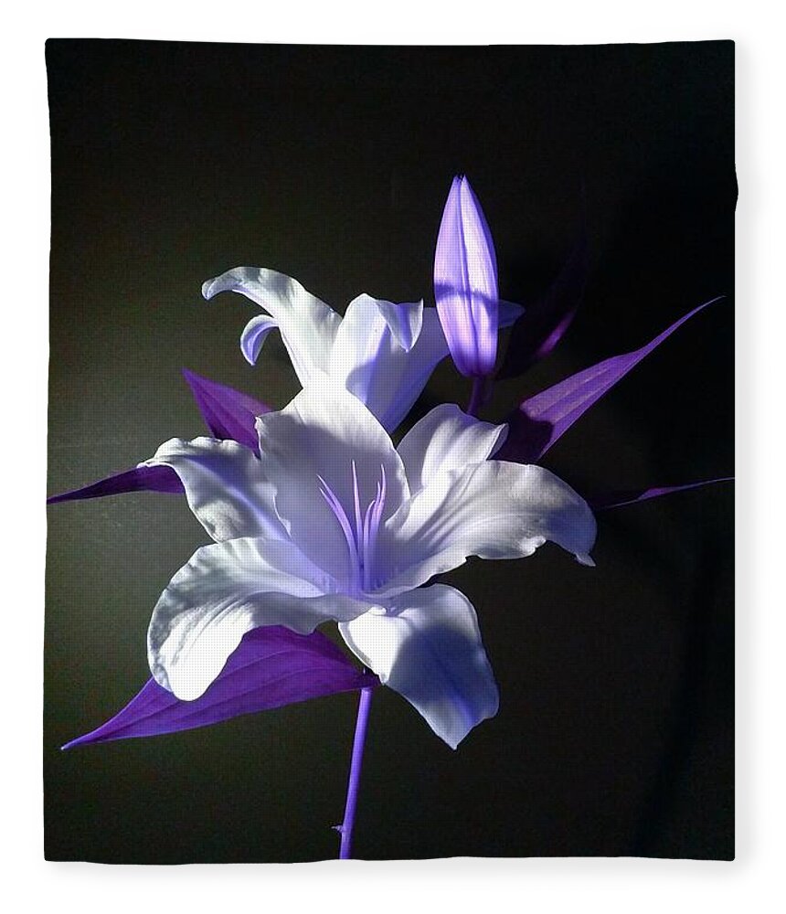 Violet Fleece Blanket featuring the photograph Violet Lily by Delynn Addams