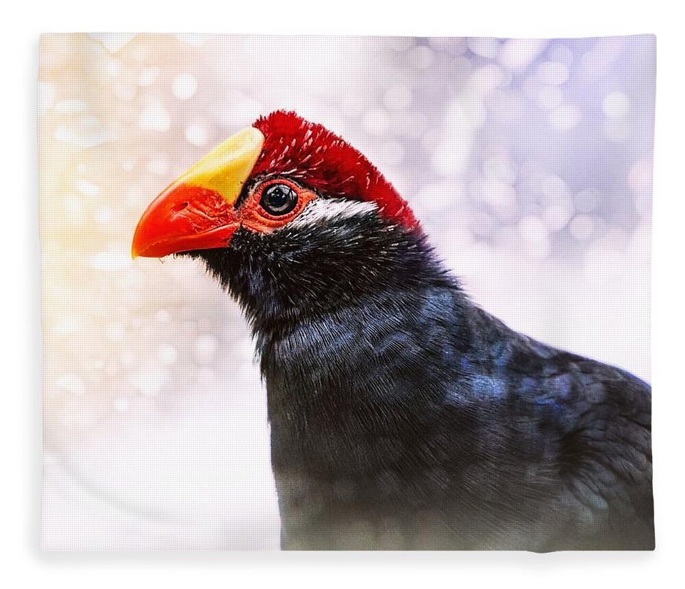 Violet Turaco Fleece Blanket featuring the photograph Violet Turaco by Jaroslav Buna