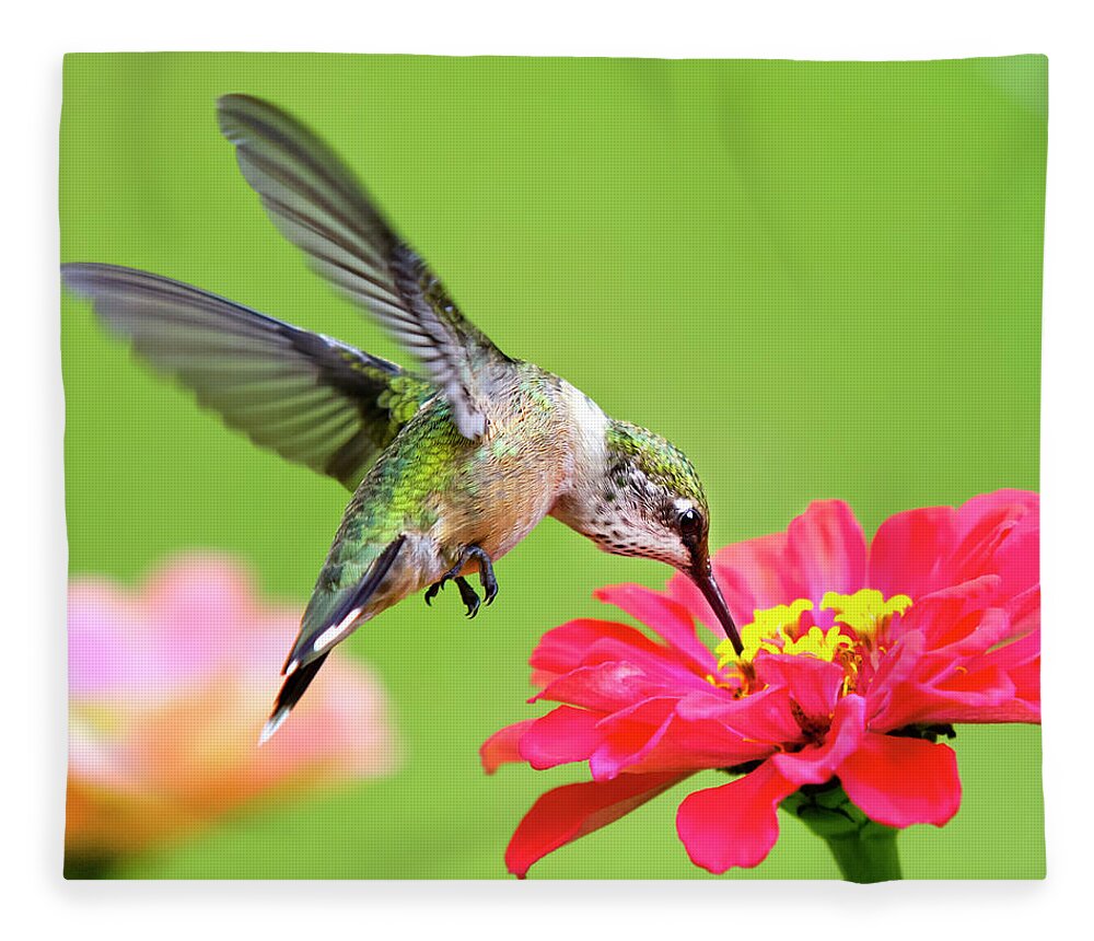 Hummingbird Fleece Blanket featuring the photograph Waiting in the Wings Hummingbird Square by Christina Rollo