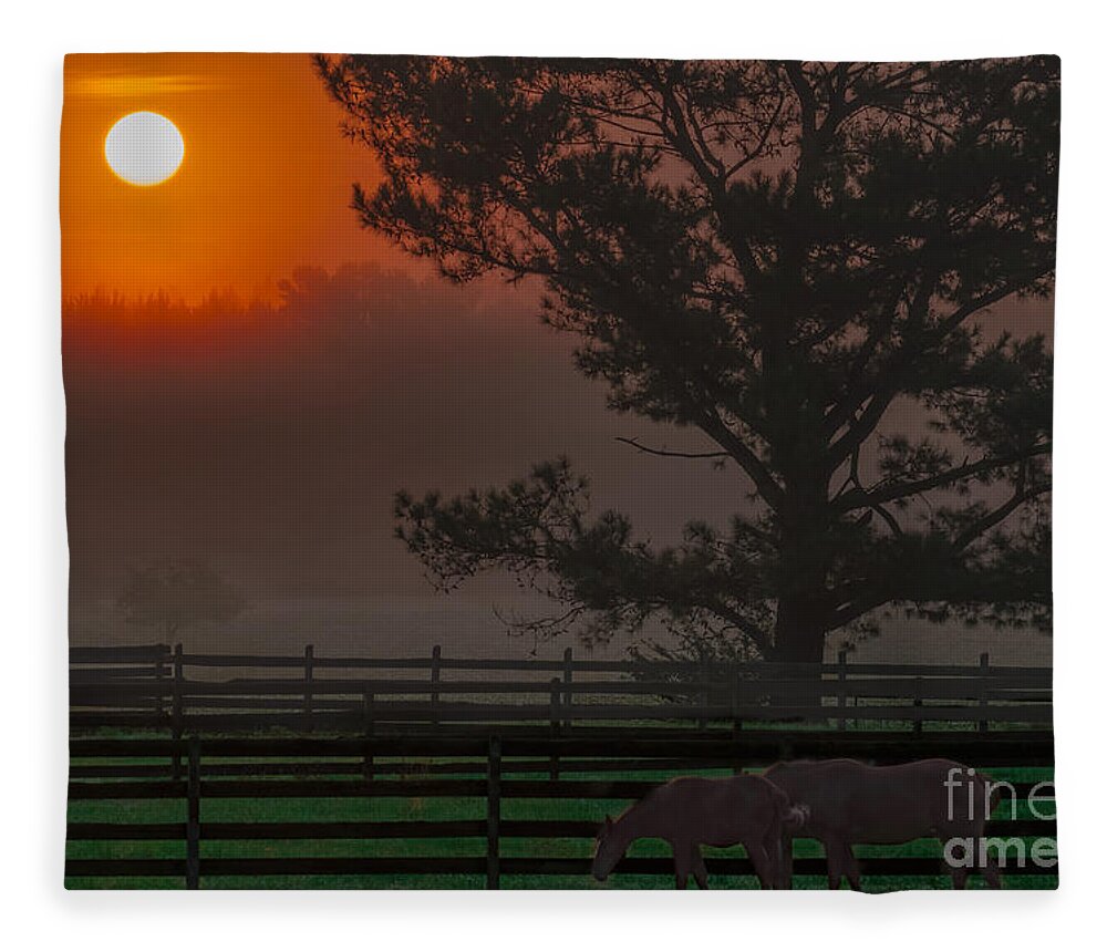 Sunrise Fleece Blanket featuring the photograph Warm Sunrise by Metaphor Photo