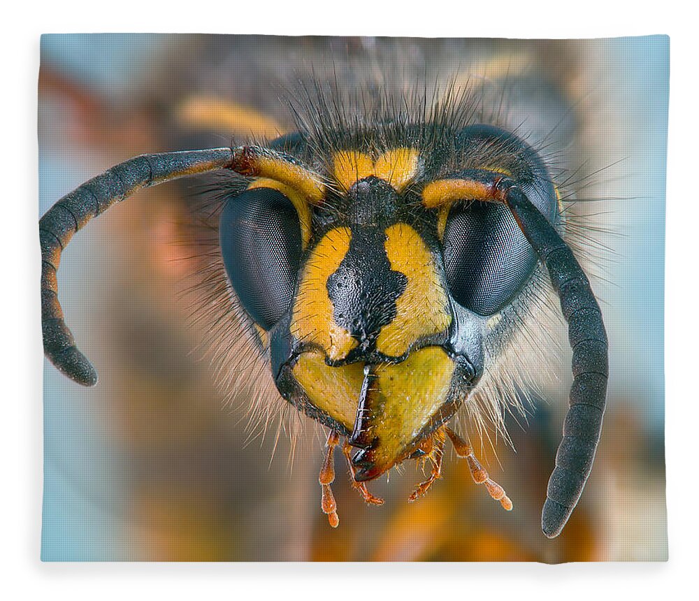 Wasp Fleece Blanket featuring the photograph Wasp portrait by Alexey Kljatov